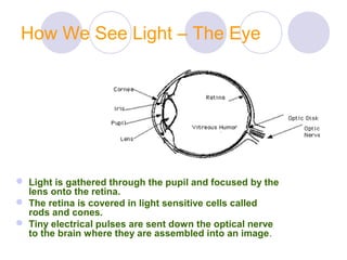 How We See Light – The Eye
 Light is gathered through the pupil and focused by the
lens onto the retina.
 The retina is covered in light sensitive cells called
rods and cones.
 Tiny electrical pulses are sent down the optical nerve
to the brain where they are assembled into an image.
 