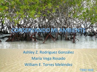 Ashley Z. Rodríguez González
María Vega Rosado
William E. Torres Meléndez
 