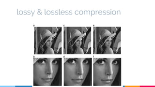 lossy & lossless compression
 