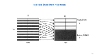 Top Field and Bottom Field Pixels
119
 