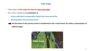 False Edge Video Compression, Part 4 Section 1, Video Quality Assessment | PDF