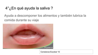 4°¿En qué ayuda la saliva ?
Ayuda a descomponer los alimentos y también lubrica la
comida durante su viaje
Constanza Escobar 10
 