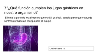 7°¿Qué función cumplen los jugos gástricos en
nuestro organismo?
Elimina la parte de los alimentos que es útil; es decir, aquella parte que no puede
ser transformada en energía para el cuerpo.
Cristina Lizana 16
 