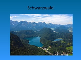 Schwarzwald