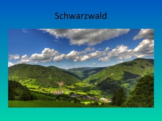 Schwarzwald