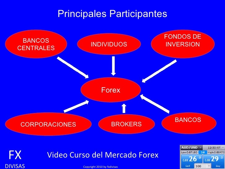 Cursos divisas forex