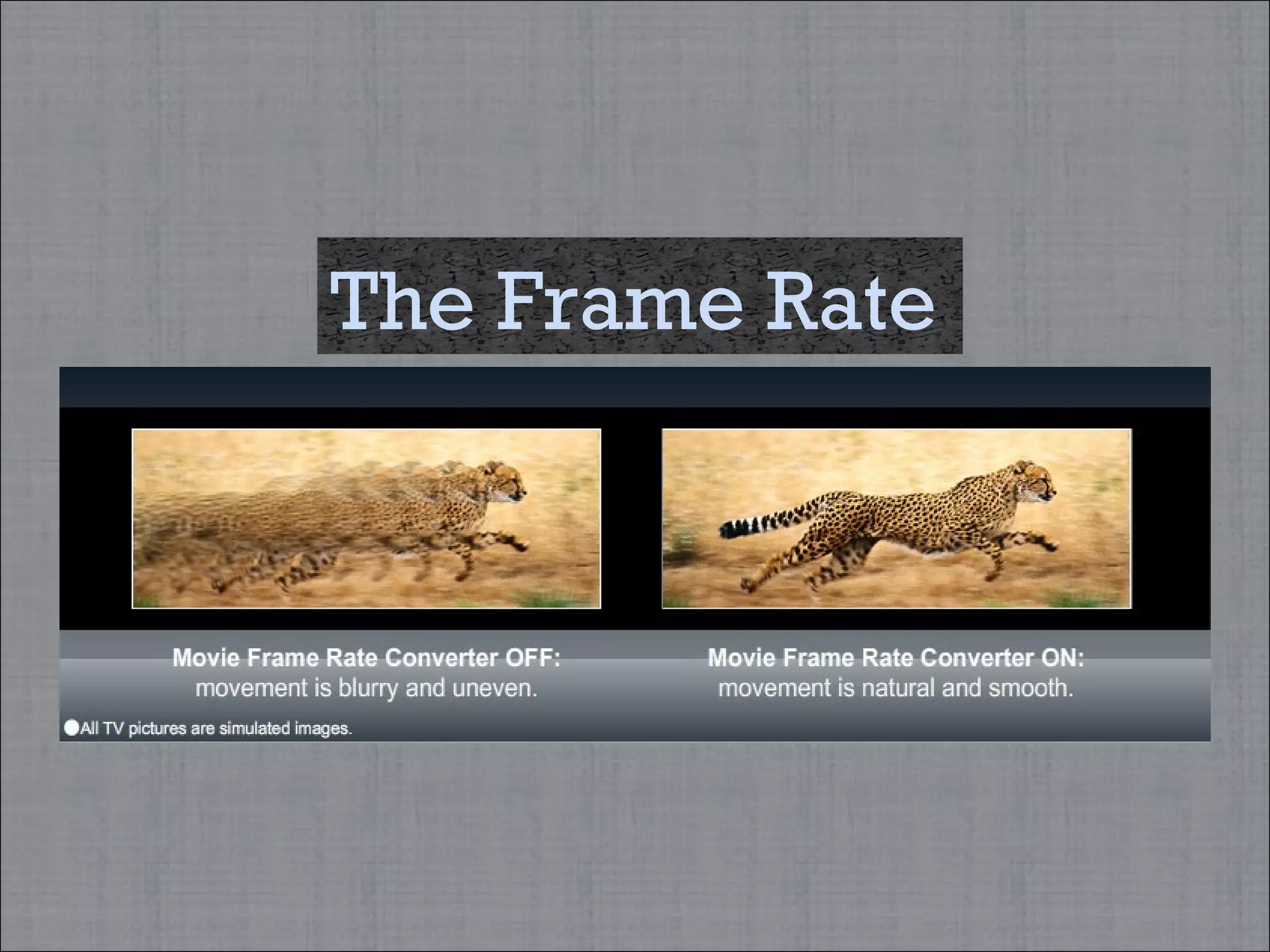 The Frame Rate 