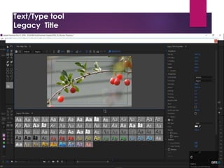 Text/Type tool
Legacy Title
Project Window
Source Window
Timeline Window
Program Window
Tool Bar
Tracks:
- Video Tracks
- Audio Tracks
Snap: - Remove gap between the
-Always on
Thumbnail: Video Head Thumbnail
Video Head and Tail Thu
Continuous Video Thum
Making:
Effect Control
Opacity
1. Create Ellipse mask
2. Creat 4 points polygon mask
3. Free drow bezier
Tool Bat (T)
1. Type tool (T)
2. Vertical Type Tool
Text
Adjustment
tools
Positioning
the text
OR
Click
Working
on tools
Controlling
Rolling
File
New
Legacy Title
New title
 