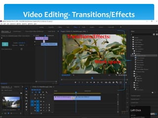 Video Editing- Transitions/Effects
Project Window
Source Window
Timeline Window
Program Window
Tool Bar
Tracks:
- Video Tracks
- Audio Tracks
Snap: - Remove gap between the video
-Always on
Thumbnail: Video Head Thumbnail
Video Head and Tail Thumbnail
Continuous Video Thumbnail
1. Selection Tool: Select any clip on timeline
Move the clip
2. Selection tool: i) Track Select Forward (A)
ii) Track Select Backward (Shift + A)
- Select multiple tracks for move the clips
- For select single tracks-Press shift
Lind and Unlink: Audio and Video attachment/detachment
Transitions/Effects:
Work space
 