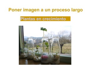 Poner imagen a un proceso largo
    Plantas en crecimiento
 