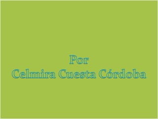 Video en power point