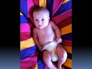 Video for israel slideshow