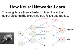 How Neural Networks Learn
The weights are then adjusted to bring the actual
output closer to the expect output. Rinse and repeat...
......
NOT CAT
CAT
Weights
183
20
80
 