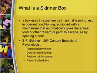 What is a Skinner Boxa box used in experiments in animal learning, esp. in operant conditioning, equipped with a mechanism that automatically gives the animal food or other reward or permits escape, as by opening a doorB.F. Skinner—20th Century Behavioral PsychologistRadical behaviorismOperant conditioningPositive reinforcementReward schedules 