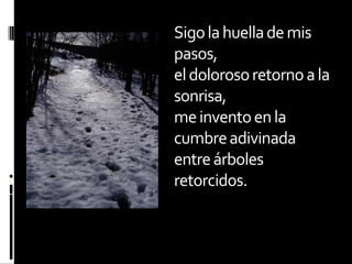 Sigo la huella de mis pasos,el doloroso retorno a la sonrisa,me invento en la cumbre adivinadaentre árboles retorcidos.