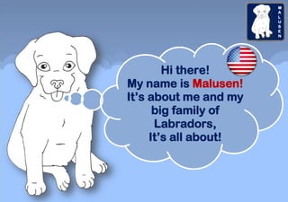 Hi there!
My name is Malusen!
It’s about me and my
big family of
Labradors,
It’s all about!
 