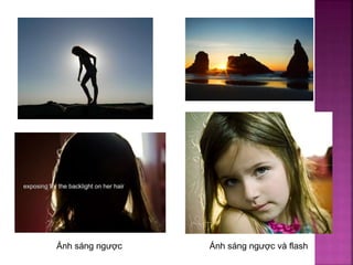 Ánh sáng ngược Ánh sáng ngược và flash
 