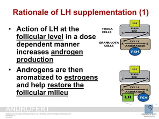 • Action of LH at the
follicular level in a dose
dependent manner
increases androgen
production
• Androgens are then
aromatized to estrogens
and help restore the
follicular milieu
Rationale of LH supplementation (1)
ANDROFERT
androfert.com.br
ANDROLOGY AND HUMAN REPRODUCTION CLINIC - REFERRAL CENTER FOR MALE REPRODUCTION
S ESTEVES, 27
2014 June
ANDROFERT
 