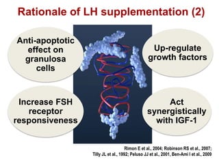 Rationale of LH supplementation (2)
Anti-apoptotic
effect on
granulosa
cells
Up-regulate
growth factors
Increase FSH
receptor
responsiveness
Act
synergistically
with IGF-1
Rimon E et al., 2004; Robinson RS et al., 2007;
Tilly JL et al., 1992; Peluso JJ et al., 2001, Ben-Ami I et al., 2009
 