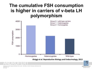 The cumulative FSH consumption
is higher in carriers of v-beta LH
polymorphism
Alviggi et al. Reproductive Biology and Endocrinology, 2013
ANDROFERT
androfert.com.br
ANDROLOGY AND HUMAN REPRODUCTION CLINIC - REFERRAL CENTER FOR MALE REPRODUCTION
S ESTEVES, 32
2014 June
ANDROFERT
 