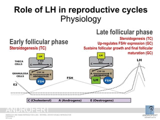 Early follicular phase
Steroidogenesis (TC)
Late follicular phase
Steroidogenesis (TC)
Up-regulates FSHr expression (GC)
Sustains follicular growth and final follicular
maturation (GC)
Role of LH in reproductive cycles
Physiology
ANDROFERT
androfert.com.br
ANDROLOGY AND HUMAN REPRODUCTION CLINIC - REFERRAL CENTER FOR MALE REPRODUCTION
S ESTEVES, 8
2014 June
ANDROFERT
 