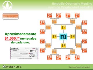 Aproximadamente
$1,000.ºº mensuales
   de cada uno.

                  $$$$$
 