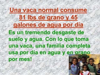 Una vaca normal consume
   81 lbs de grano y 45
 galones de agua por día
Es un tremendo desgaste de
suelo y agua. Con lo que toma
una vaca, una familia completa
usa por día en agua y en grano
por mes!
 