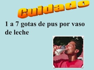 1 a 7 gotas de pus por vaso
de leche
 