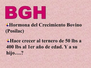 Hormona del Crecimiento Bovino
(Posilac)
  Hace crecer al ternero de 50 lbs a
400 lbs al 1er año de edad. Y a su
hijo….?
 