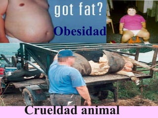 Obesidad




Crueldad animal
 
