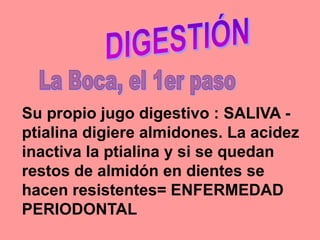 Su propio jugo digestivo : SALIVA -
ptialina digiere almidones. La acidez
inactiva la ptialina y si se quedan
restos de almidón en dientes se
hacen resistentes= ENFERMEDAD
PERIODONTAL
 
