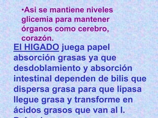 •Asi se mantiene niveles
 glicemia para mantener
 órganos como cerebro,
 corazón.
El HIGADO juega papel
absorción grasas ya que
desdoblamiento y absorción
intestinal dependen de bilis que
dispersa grasa para que lipasa
llegue grasa y transforme en
ácidos grasos que van al I.
 
