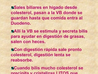 Sales biliares en hígado desde
colesterol, pasan a la VB donde se
guardan hasta que comida entra al
Duodeno.
 Allí la VB se estimula y secreta bilis
para ayudar en digestión de grasas,
salen con heces.
  Con digestión rápida sale pronto
colesterol, digestión lenta se
reabsorbe.
 Cuando bilis mucho colesterol se
 