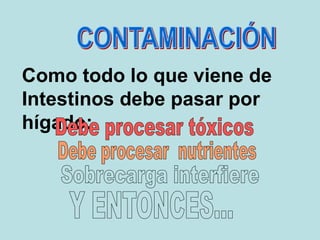 Como todo lo que viene de
Intestinos debe pasar por
hígado:
 
