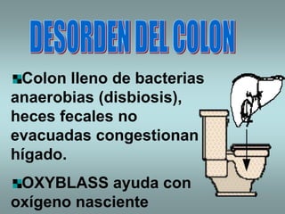 Colon lleno de bacterias
anaerobias (disbiosis),
heces fecales no
evacuadas congestionan al
hígado.
 OXYBLASS ayuda con
oxígeno nasciente
 