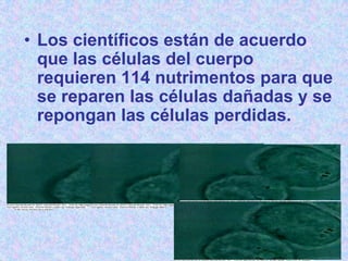 • Los científicos están de acuerdo
                 que las células del cuerpo
                 requieren 114 nutrimentos para que
                 se reparen las células dañadas y se
                 repongan las células perdidas.



                                                                                                                                                         F om Wor l Book © 2001 Wor l Book, Inc., 233 N M higan Av enue, Sui
                                                                                                                                                          r           d                   d                  . ic          te 2000, Chicago, IL 60601.
                                                                                                                                                         All r ights reser ved. Wor ld Book v ideo by Image Bank
F om Wor l Book © 2001 Wor l Book, Inc., 233 N M higan Av enue, lSui
 r                 d                                    d                                 .      ic     F om Wor d Book © 2001 Wor l IL 60601.
                                                                                                         r              te 2000, Chicago, Book, Inc., 233 N M higan Av enue, Sui
                                                                                                                                         d                  . ic               te 2000, Chicago, IL 60601.
        From World Book © 2001 World Book, Inc., 233 N. Michigan Avenue, Suite 2000, Chicago, IL 60601.
All r ights reser ved. Wor ld Book v ideo by Im                                 age Bank                All r ights reser ved. Wor ld Book v ideo by Image Bank
        All rights reserved. World Book video by Image Bank
 