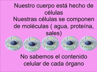 Nuestro cuerpo está hecho de
           células
Nuestras células se componen
de moléculas ( agua, proteína,
            sales)


  No sabemos el contenido
   celular de cada órgano
 