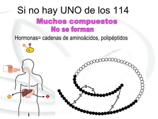 Si no hay UNO de los 114

Hormonas= cadenas de aminoácidos, polipéptidos
 