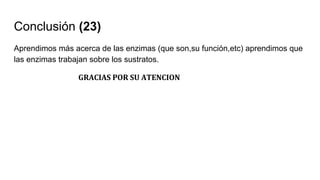 Conclusión (23)
Aprendimos más acerca de las enzimas (que son,su función,etc) aprendimos que
las enzimas trabajan sobre los sustratos.
GRACIAS POR SU ATENCION
 