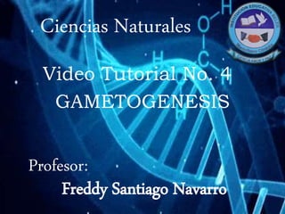 Ciencias Naturales
Profesor:
Freddy Santiago Navarro
GAMETOGENESIS
Video Tutorial No. 4
 