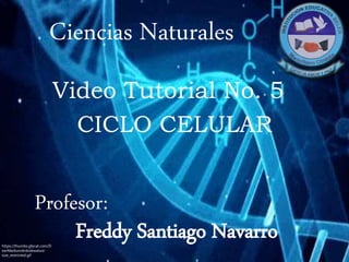 Ciencias Naturales
Profesor:
Freddy Santiago Navarro
CICLO CELULAR
Video Tutorial No. 5
https://thumbs.gfycat.com/D
earMediumAnkolewatusi-
size_restricted.gif
 
