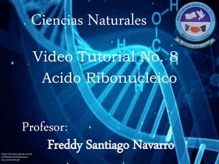 Ciencias Naturales
Profesor:
Freddy Santiago Navarro
Acido Ribonucleico
Video Tutorial No. 8
https://thumbs.gfycat.com/D
earMediumAnkolewatusi-
size_restricted.gif
 