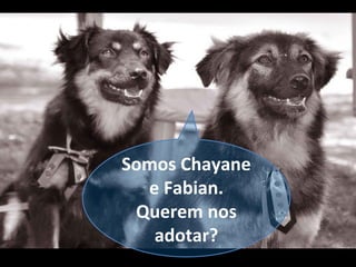 Somos Chayane
  e Fabian.
 Querem nos
   adotar?
 