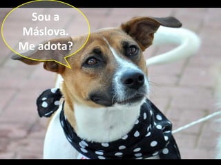 Sou a
Máslova.
Me adota?
 