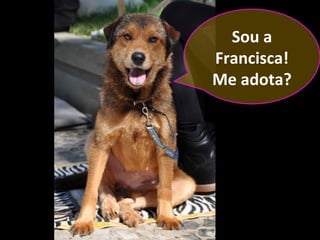 Sou a
Francisca!
Me adota?
 