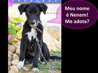 Meu nome
é Nenem!
Me adota?
 