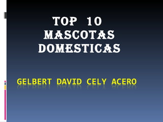 TOP  10  MASCOTAS DOMESTICAS 