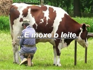 ...E moxe o leite.
 