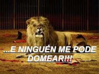 ...E NINGUÉN ME PODE
       DOMEAR!!!
 
