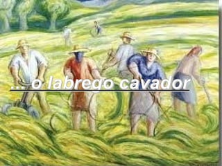 ... o labrego cavador
 